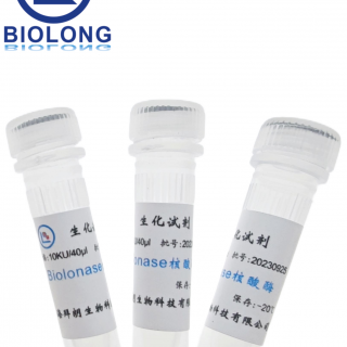 Biolonase核酸酶，纯度≥90％（编号：BLE001-1B）