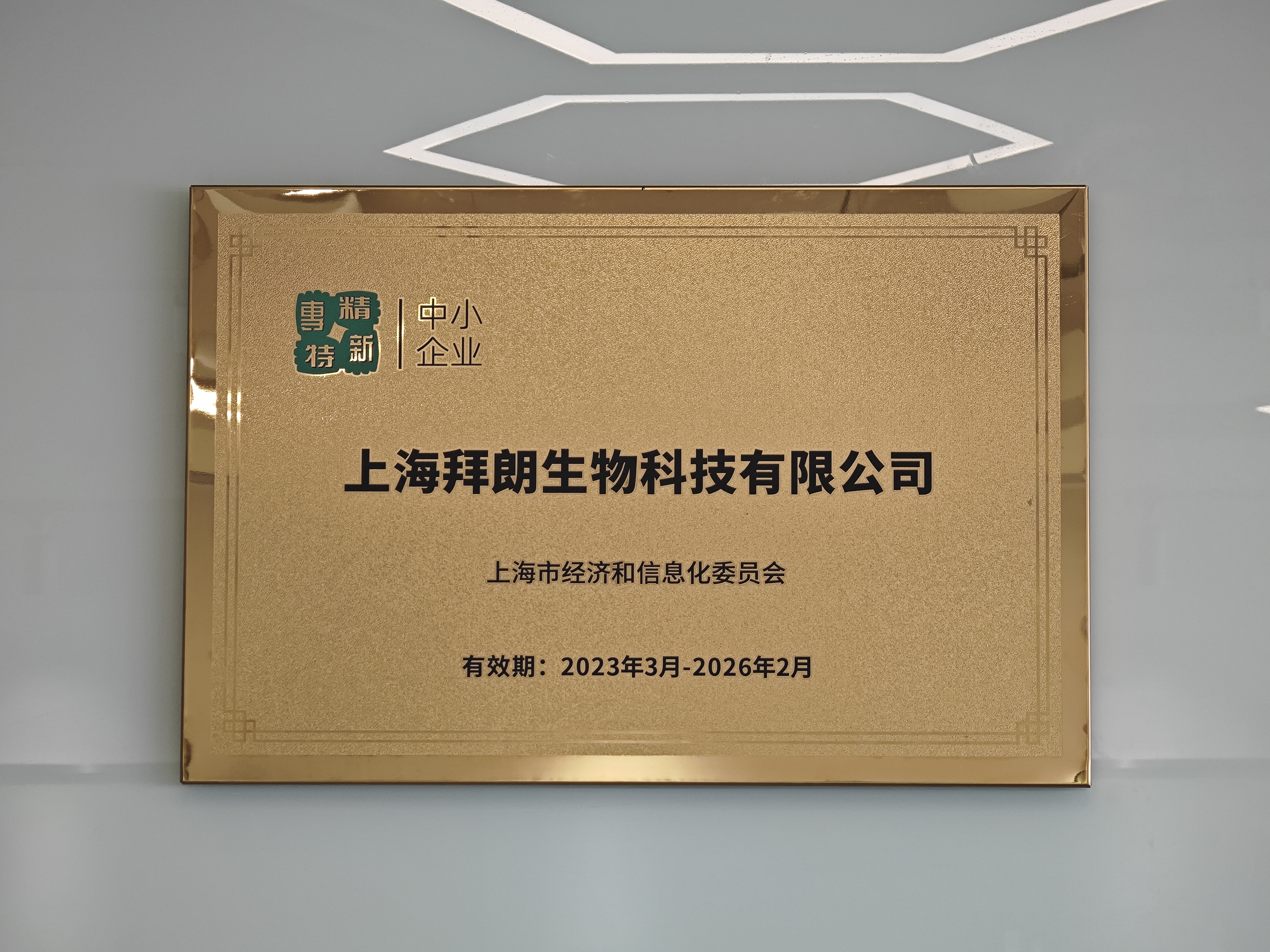 专精特新