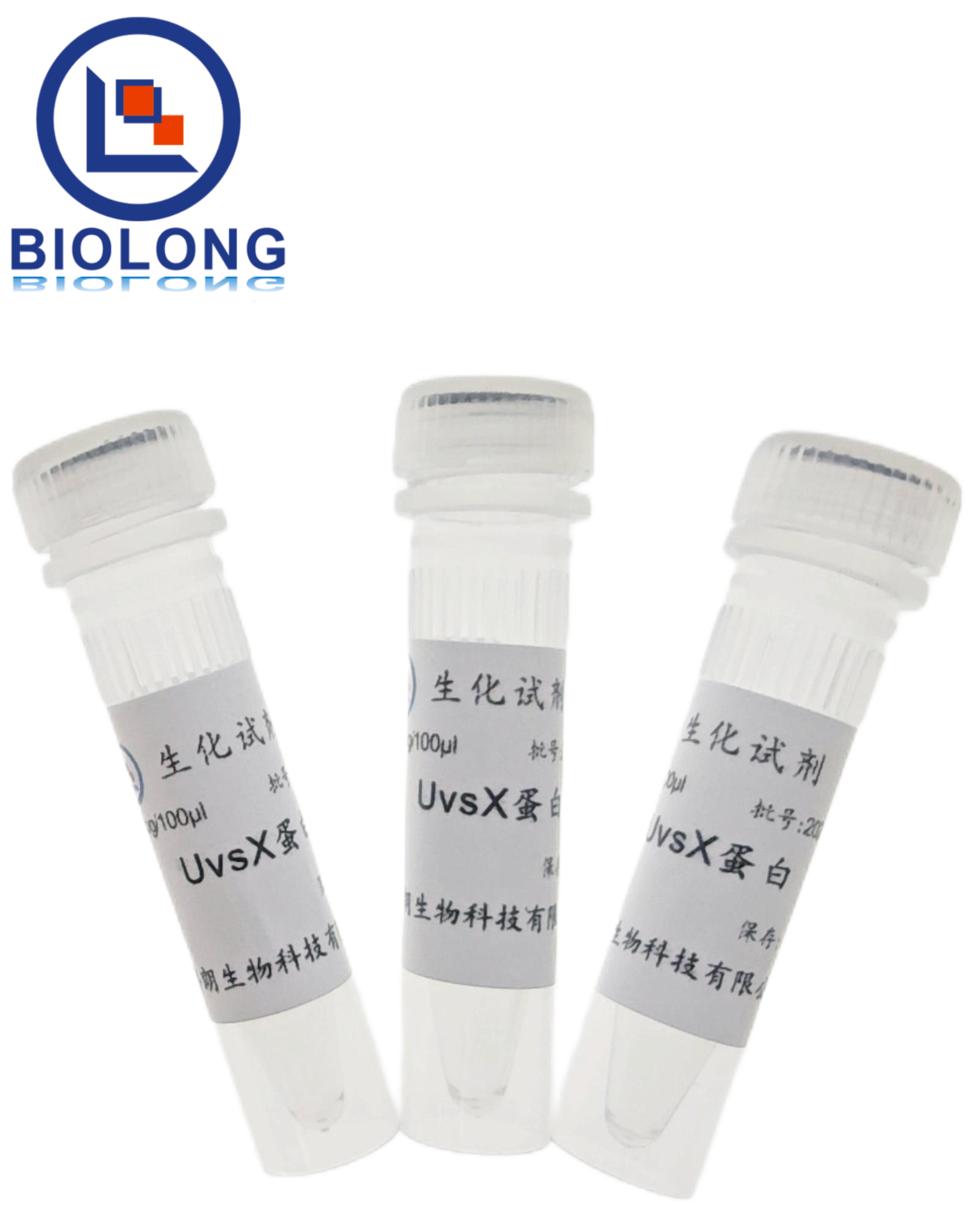 UvsX蛋白（编号：BLE030-1B） - 1