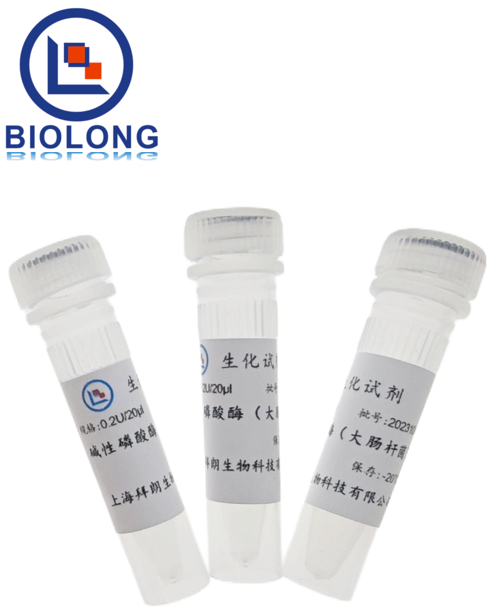 碱性磷酸酶 （大肠杆菌）（编号：BLE021-1B） - 1
