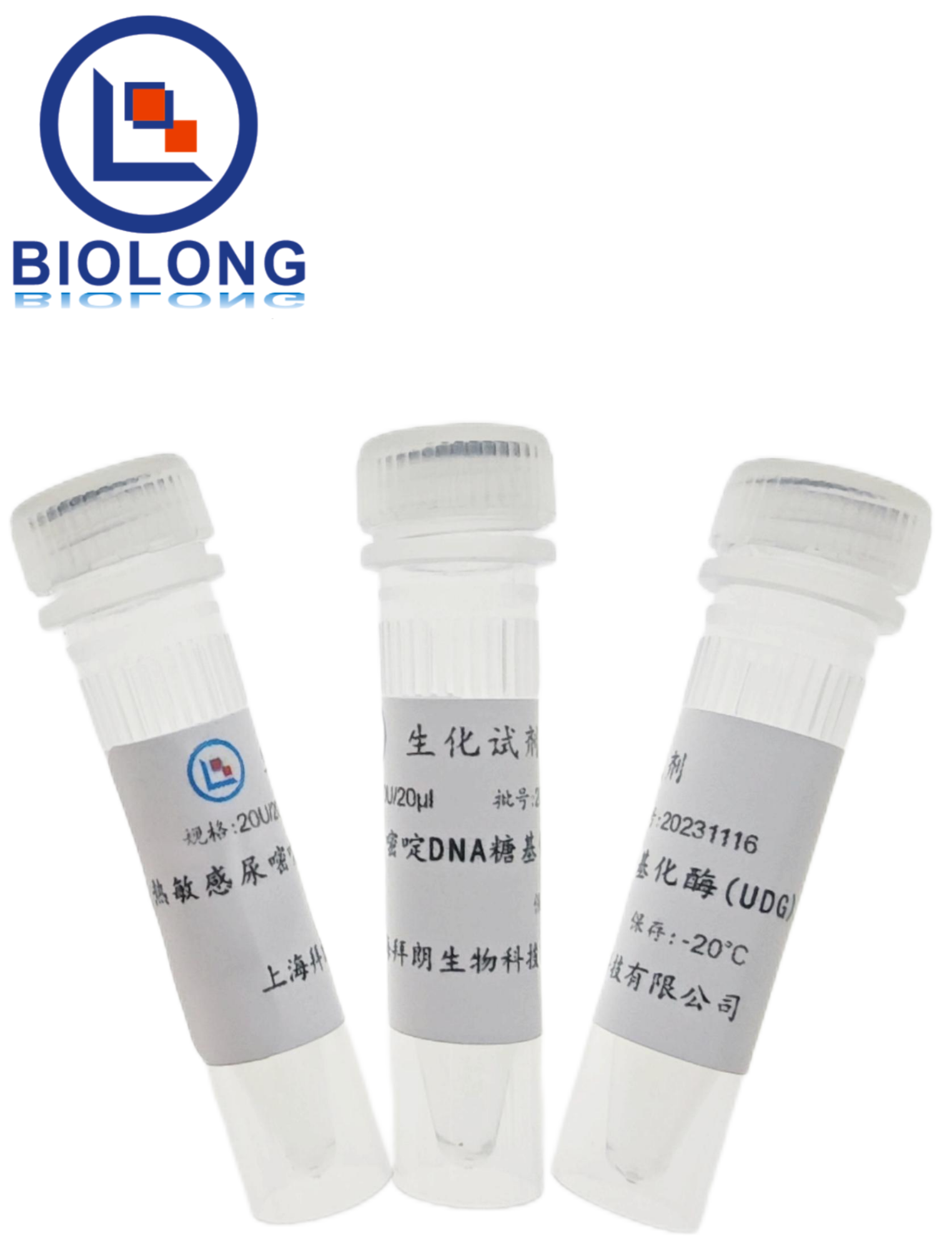 热敏感尿嘧啶DNA糖基化酶(UDG)（编号：BLE052-2B） - 1