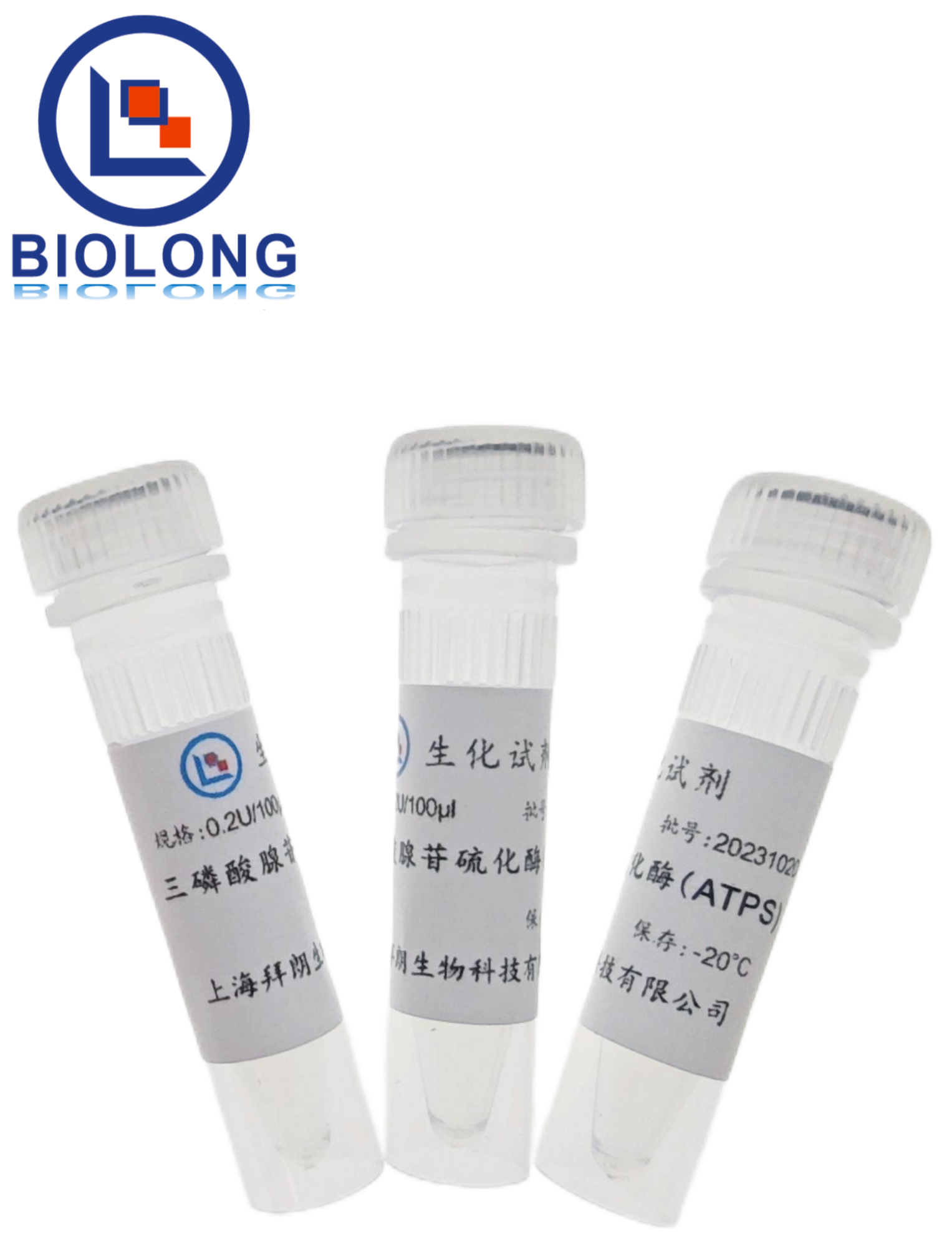 三磷酸腺苷硫化酶(ATPS)（编号：BLE019-1B） - 1