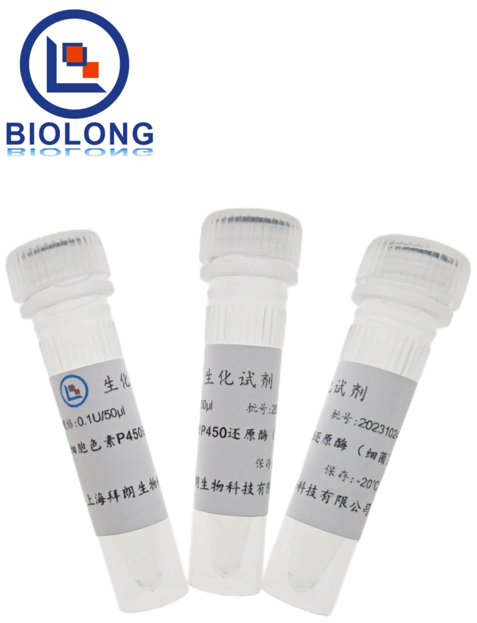 细胞色素P450还原酶 （细菌）（编号：BLE020-1B） - 1