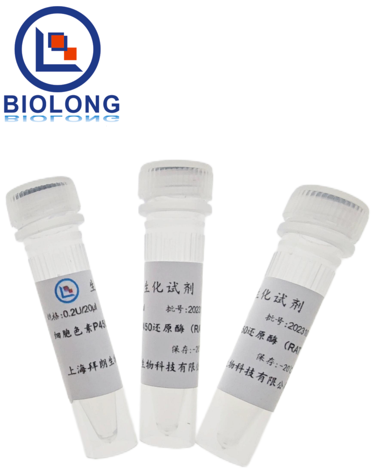 细胞色素P450还原酶（RAT）（编号：BLE020-2B） - 1