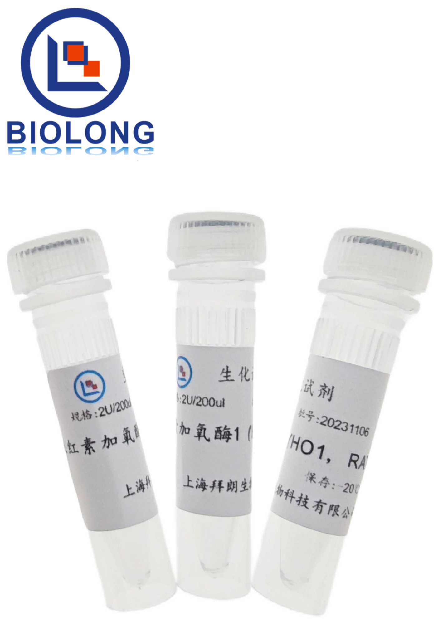 血红素加氧酶1（HO1，RAT）（编号：BLE007-2B） - 1