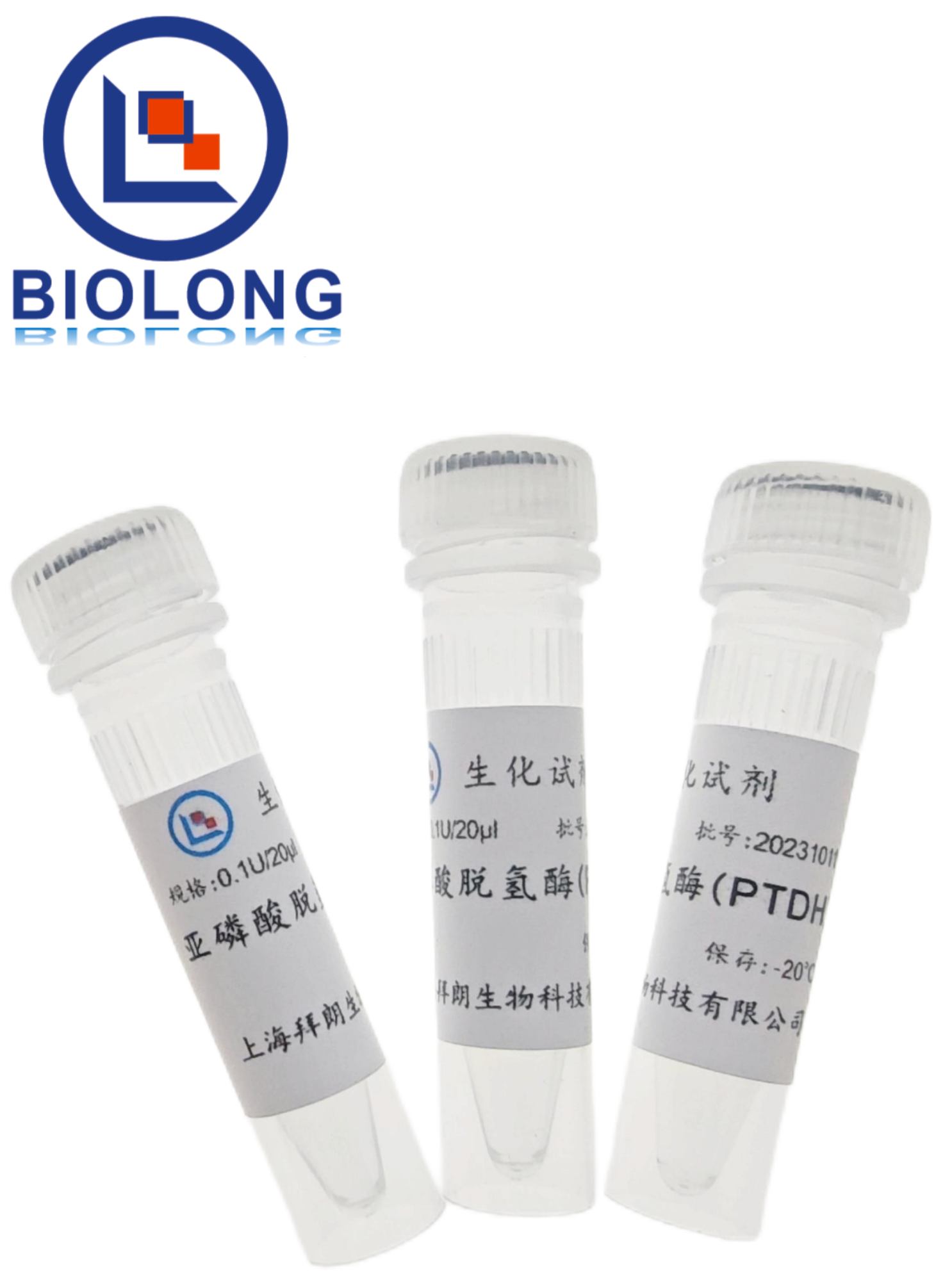 亚磷酸脱氢酶(PTDH)（编号：BLE039-1B） - 1