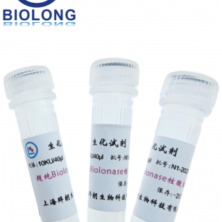超纯Biolonase核酸酶，纯度≥99％（编号：BLE001-1A）
