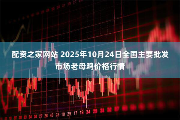 配资之家网站 2025年10月24日全国主要批发市场老母鸡价格行情